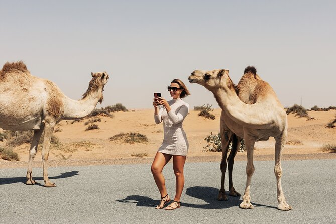 6-Day Private Morocco Cultural Tour From Casablanca To Marrakech - Discover Legzira Beach and Tafraoute