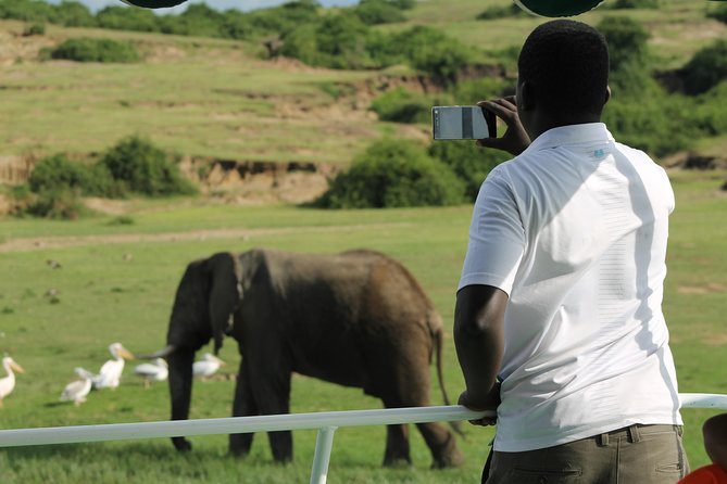 6-Day Queen Elizabeth and Mburo Luxury Safari - Transportation Details