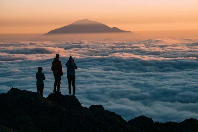 6-Day Rongai Route Trek in Mount Kilimanjaro - Daily Trekking Itinerary