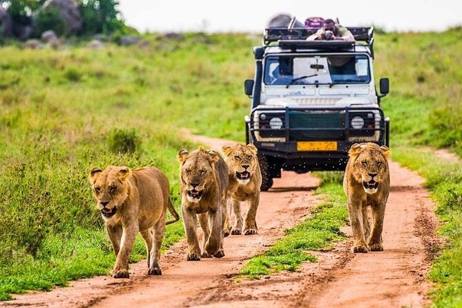 6-Day Unforgettable Tour in Tanzania - Customer Reviews