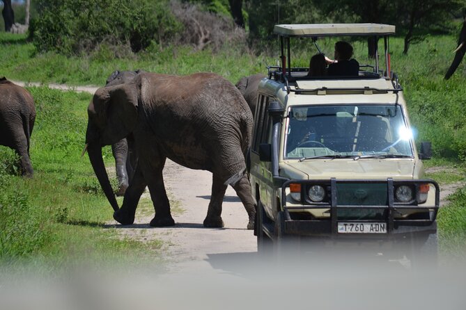 6 Days Best Adventure Kilimanjaro ,Tarangire ,Serengeti &Ngorongoro Crater - Pickup and Meeting Details