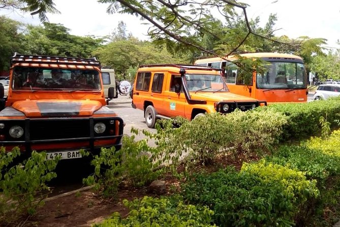6 Days Climb Kilimanjaro Through Marangu Route - Inclusions and Exclusions