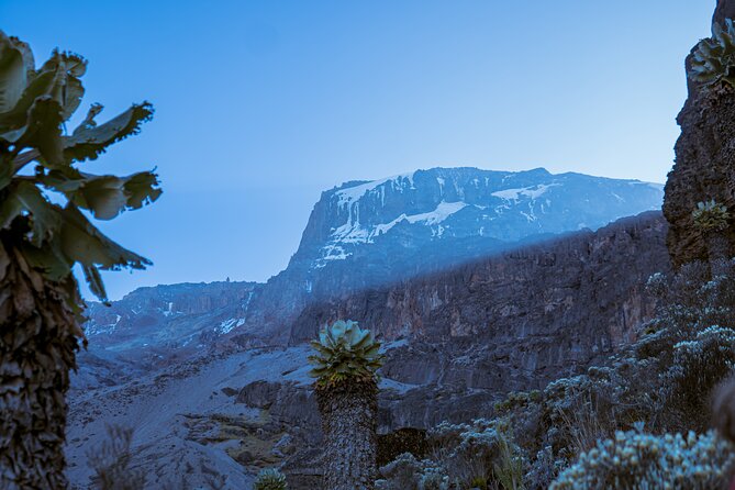 6 Days Climb Private Tour in Mount Kilimanjaro - Inclusions and Exclusions