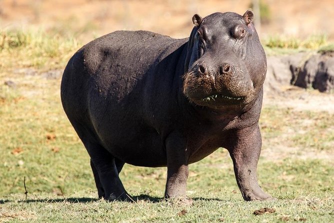 6 Days Guided Safari: Nairobi / Lake Nakuru / Lake Naivasha / Masai Mara N R - Inclusions and Exclusions