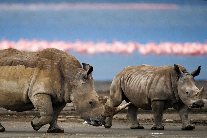 6 Days Lodge & Tented Camp Luxury - The Serengeti Trail & Tarangire - Luxury Lodge Accommodations