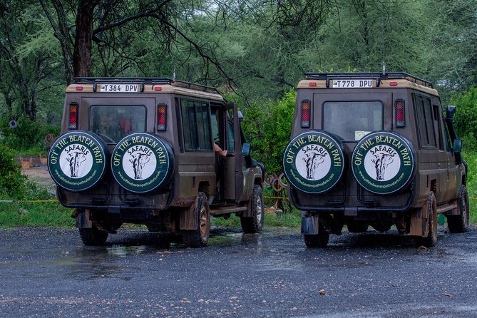 6 Days Luxury Northern Circuit Safari - A Glimpse of Tanzania Adventure - Experiencing the Ngorongoro Crater
