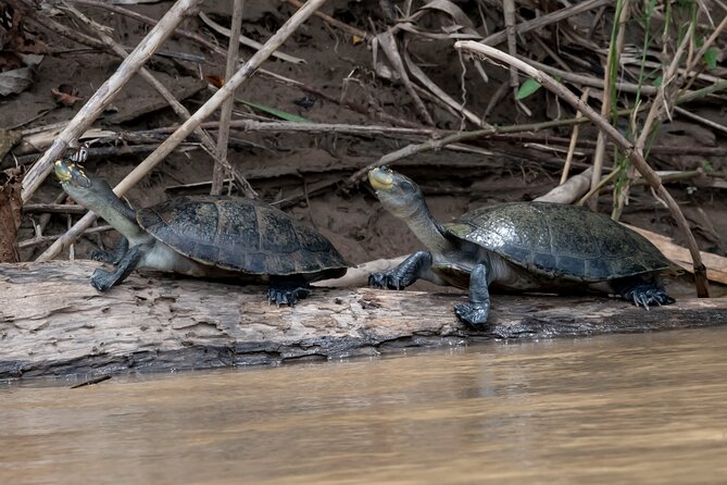 6 Days Tour in Manu National Park / Cusco - Puerto Maldonado - Inclusions