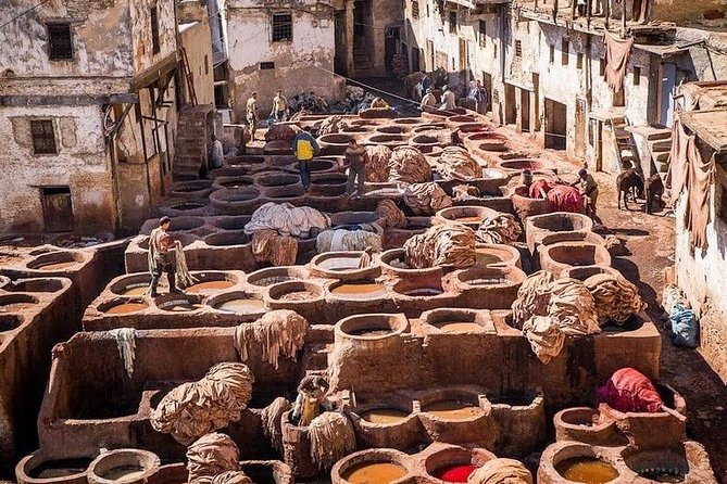 6-Hour Private Walking Tour of the Medina in Fez - Highlights of the Medina