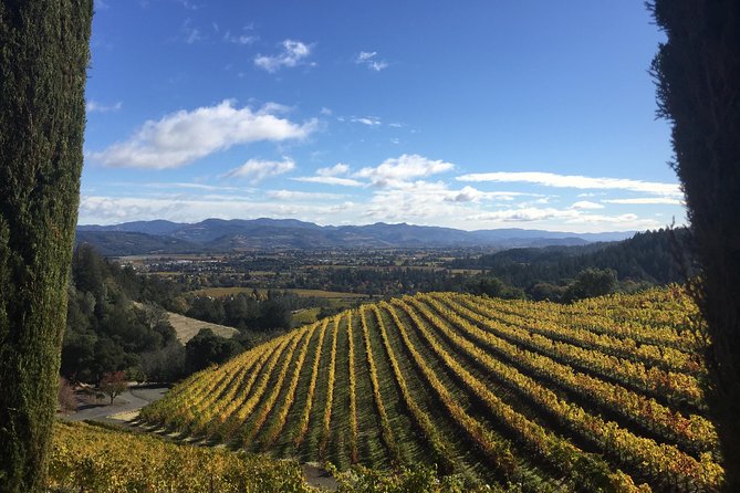 6-Hour Private Wine Country Tour of Napa Valley (Up to 6 People) in Large SUV - Customized Itinerary and Recommendations