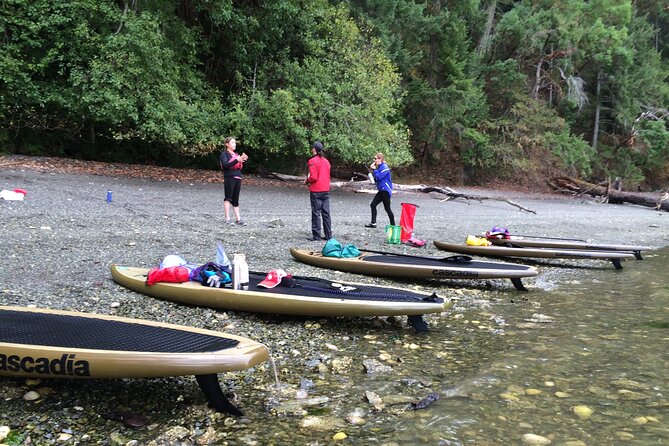6 Hour SUP Finlayson Arm Fjord - Health and Safety Requirements
