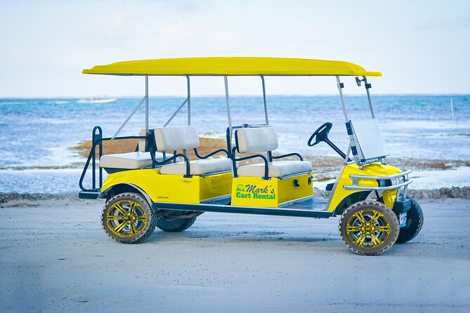 6-Seater Golf Cart Rental in San Pedro - Fleet and Safety Features