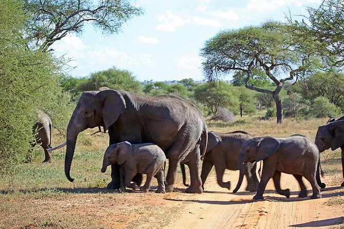 7 Day Grand Tanzania Safari - Destinations Explored