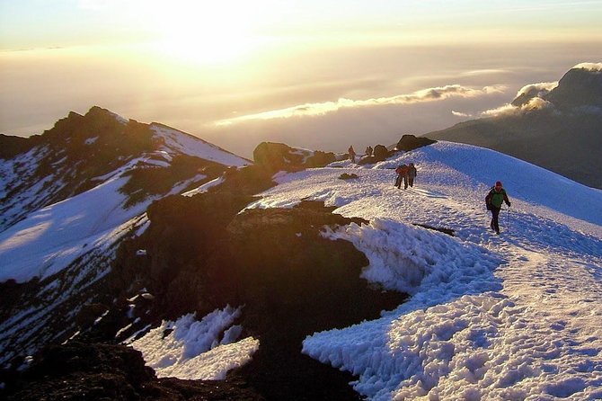 7-Day Kilimanjaro Climb–Lemosho R. Scenic Adventure to the Summit - Additional Costs to Consider