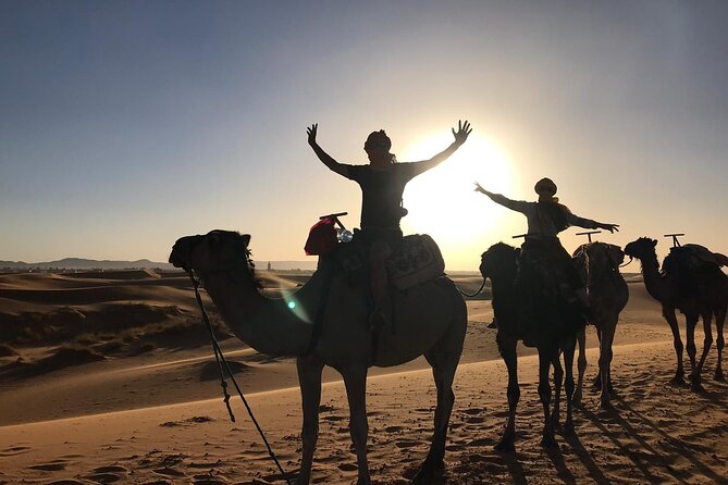 7 Day Private Tour From Casablanca to the Desert and Chefchaouen - Customer Reviews