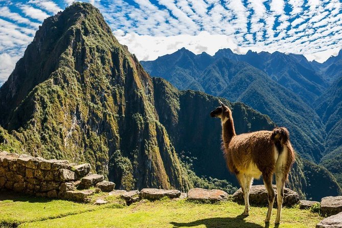 7 Days Best of Peru From Lima - Taking in Cuscos History