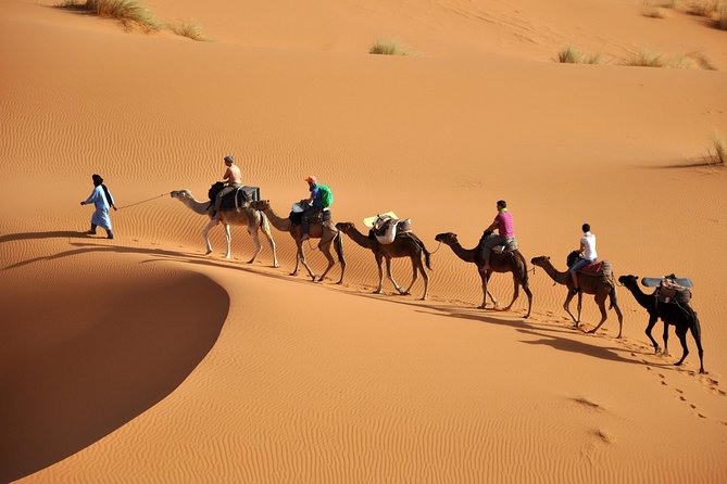 7 Night Sahara Caravan Road - Traversing the Atlas Mountains