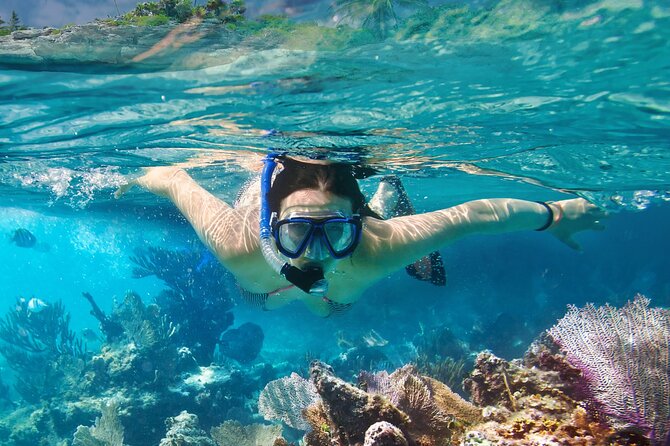 8-Day Galapagos Multisport: San Cristobal, Isabela and Santa Cruz - Destinations and Highlights