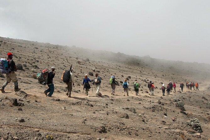 8 Day Kilimanjaro Lemosho Climb - Daily Trekking Itinerary