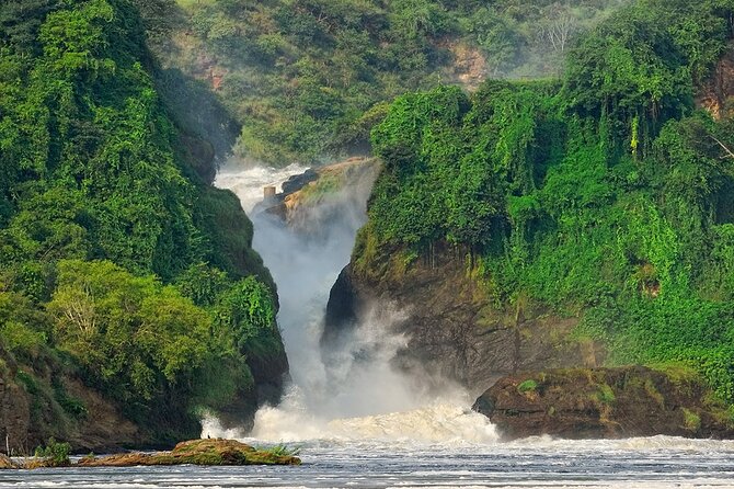 8-Day Murchison Falls, Chimp and Epic Gorilla Trekking - Chimpanzee Trekking Adventure