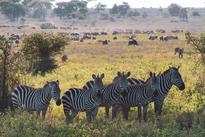 8 Day Safari The Best of Tanzania & Lake Eyasi - Ngorongoro Crater Adventure