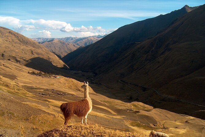 8 Day Sustainable Moms and Daughters Small Group Trip in Peru - Taking in Sustainable Practices