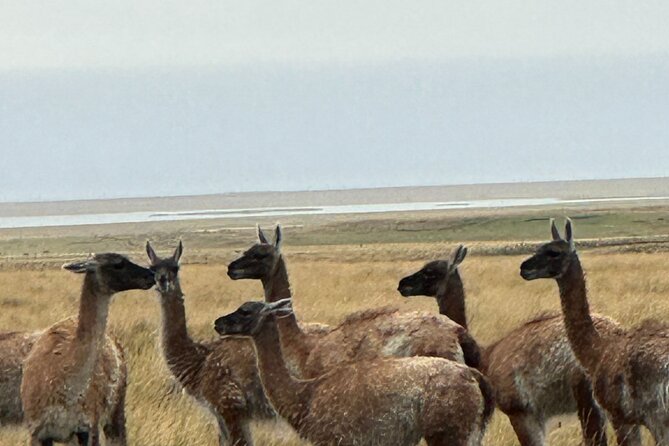8 Days Expedition to the End of the World Southern Patagonia - Activities and Fees