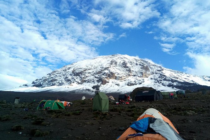 8 Days Lemosho Route Climbing Mt. Kilimanjaro - Arrival and Acclimatization