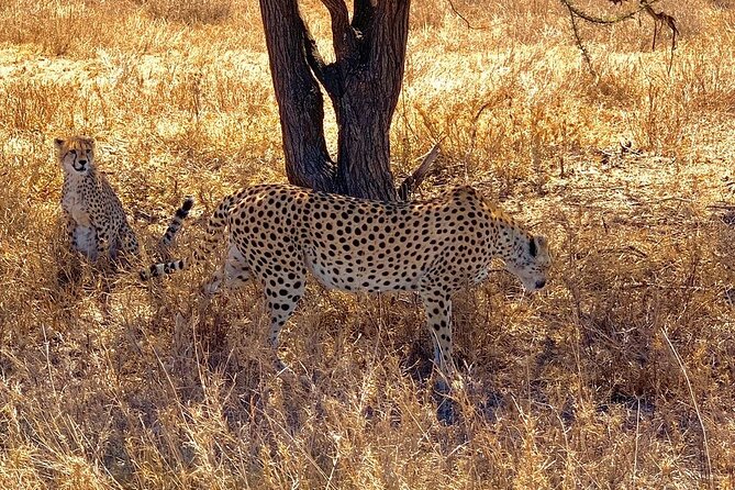 9-Days High End Road and Air Kenya Safari - Travel Itinerary