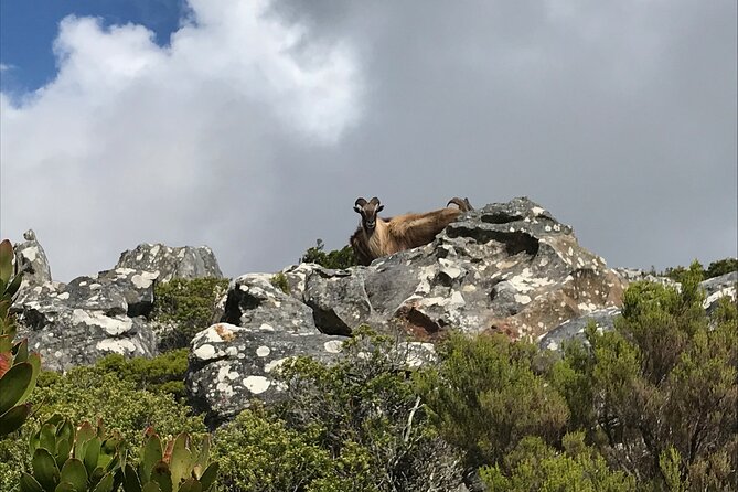 A Classic ! India Venster Hike - Whats Included in the Hike