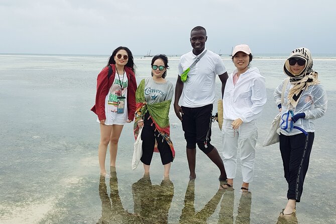 A Half Day Private Dolphins And Snorkeling Tour To Mnemba Island - Pickup Information