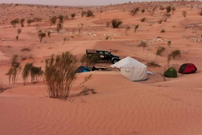 A Private Night at Desert Douz Tozeur - Dining and Culinary Delights
