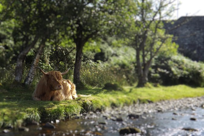 A Taste of Scotland Full-Day Private Tour - Booking Information