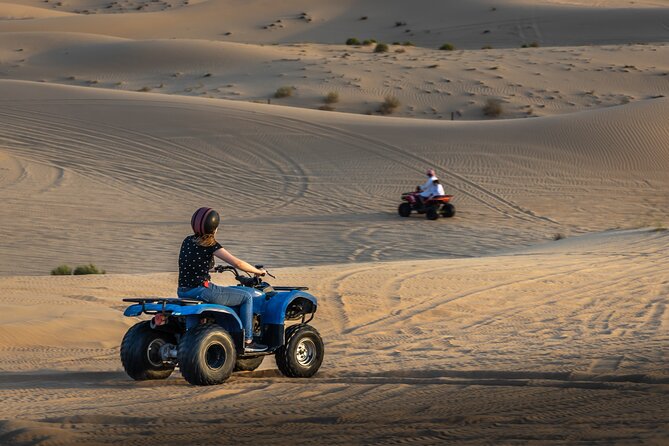 Abu Dhabi Full-Day Desert Safari - Activities Offered