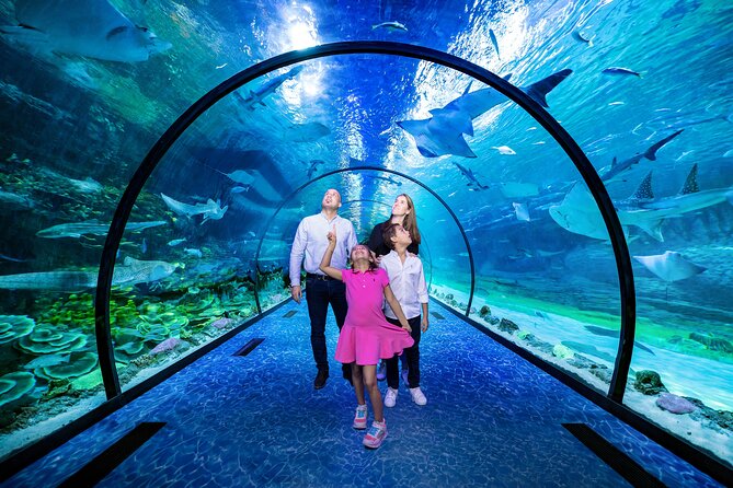 Abu Dhabi Louvre Museum and National Aquarium Visit - Tour Inclusions and Services