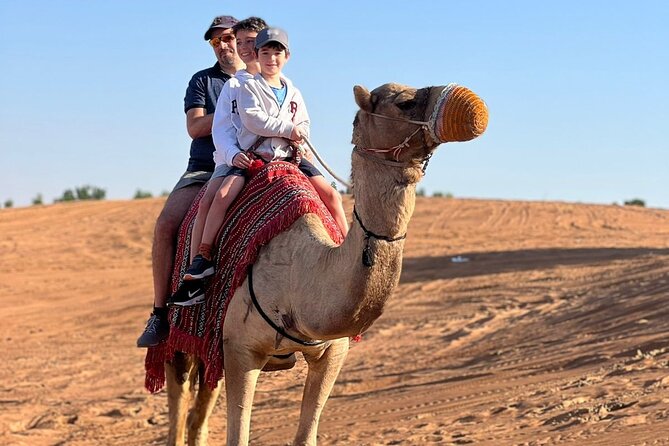 Abu Dhabi Morning Desert Safari - Private Car - Unique Desert Activities