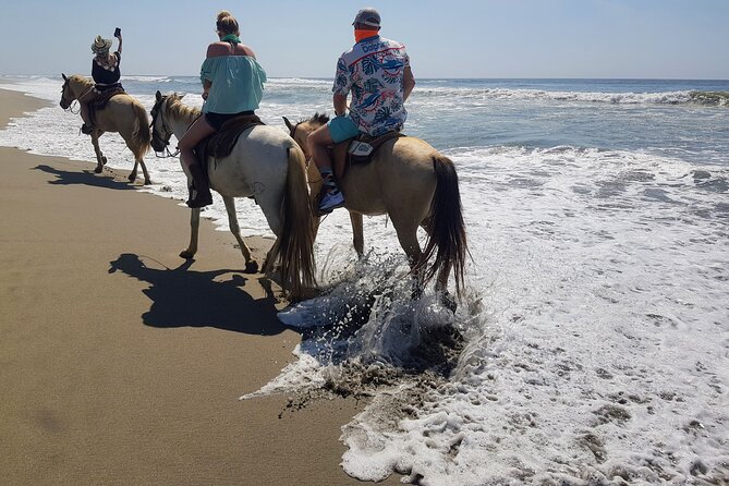 Acapulco Boat Ride With Horseback Ride, Lunch, and Crocs Farm - Tour Activities
