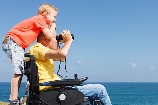 Accessible Tour In Athens, 3 Hours Athens Panorama Shore Excursion - Inclusions and Transportation