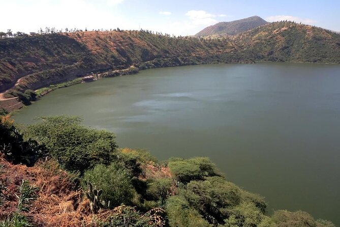 Addis Ababa Spa -Day Trip To Debre Ziet(Resort Towns) - Taking in Relaxation at the Resort