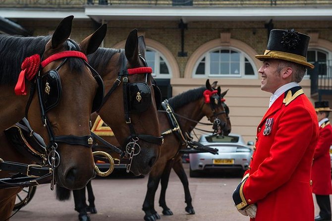 Admission Ticket to the Royal Mews, Buckingham Palace - Visiting the Royal Mews