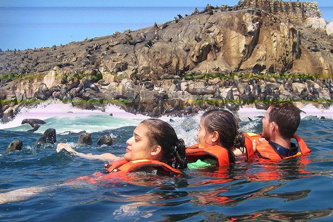 Adventure and Adrenaline, Swimming With SEA LIONS! & Visit the Peruvian Islands! - Exploring the Peruvian Islands