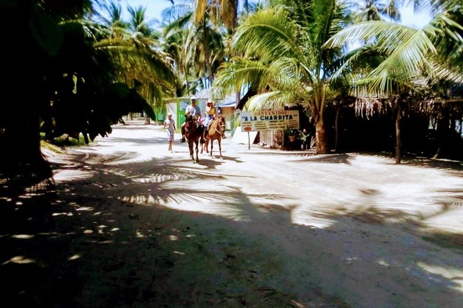 AfroMexican Village Experience-Horseback Ride-Turtle Hatch &Crocs - Tour Details and Logistics