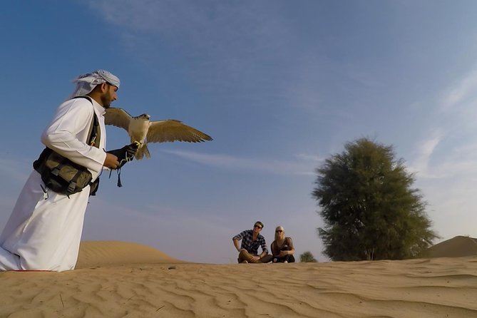 Afternoon Dubai Falconry Safari - Highlights of the Experience