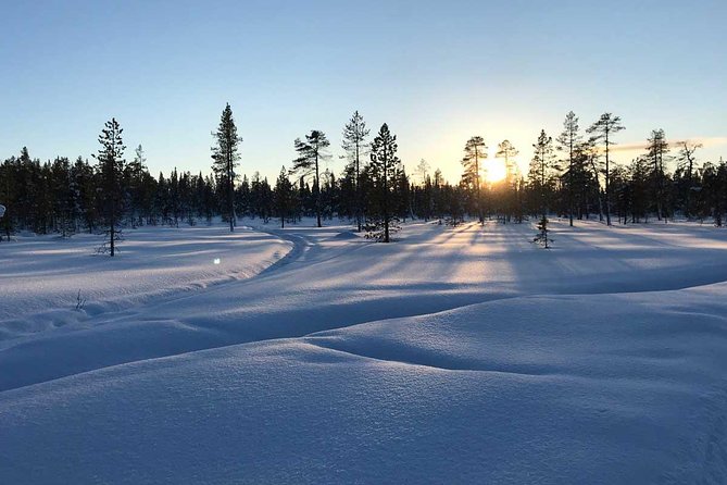 Afternoon Snowmobile Tour - Winter Landscape Experience