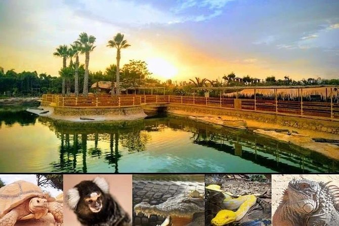 Agadir Croco Park Transfer & Admission Ticket - Capacity and Duration