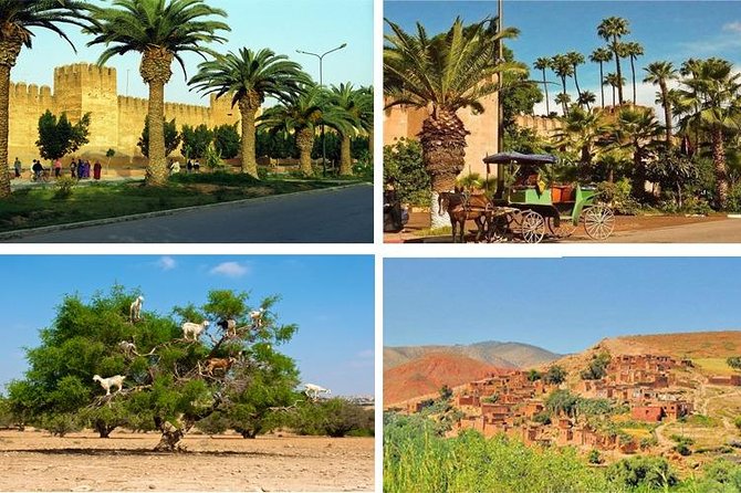 Agadir Morocco: Day Trip to Taroudant & Tiout Oasis With Lunch - Discovering Tiout Oasis