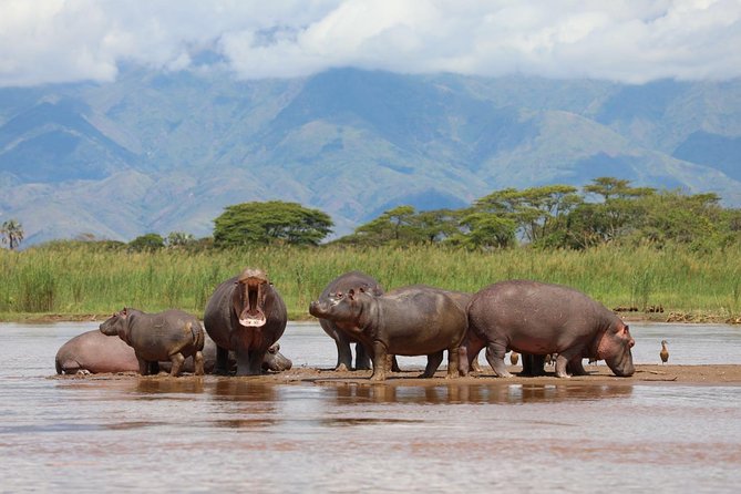 Akagera Game-drive Safari - Meeting and Pickup Details