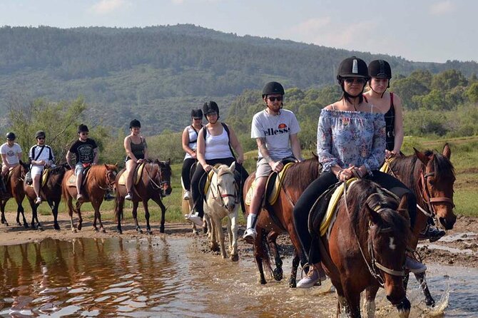 Alanya Horse Riding Experience With Free Hotel Transfer - Pricing Details