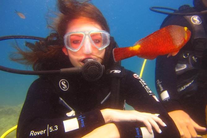 Alanya: Scuba Diving Experience for Beginners - Pickup and Start Time Details