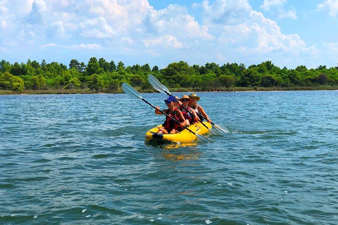 Albania Birdwatching, Kayaking, Bicycle National Park Divjaka Karavasta(ARG) - Meeting and Pickup