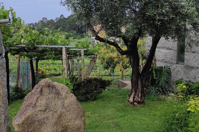 Albariño Private Wine Tour in Rias Baixas Review - Boat Ride and Scenery